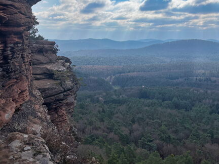 23-02-28 11-37-21 4458